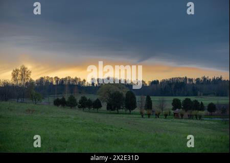 Paesaggio serale primaverile con cielo al tramonto e fila di alberi Foto Stock