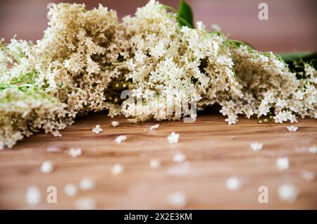 Primo piano di fiori di sambuco bianchi su sfondo rustico in legno. I fiori di sambuco crescono sulla pianta di sambuco ed è ricco di vitamine. Supercibo scandinavo naturale Foto Stock