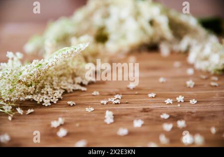 Primo piano dei fiori di sambuco bianchi su uno sfondo rustico in legno. I fiori di sambuco crescono sulla pianta di sambuco ed è ricco di vitamine. Cibo scandinavo estivo Foto Stock