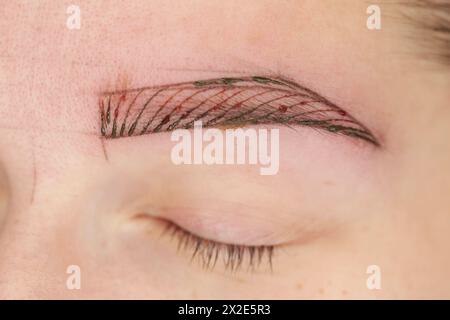 Microblading, piccoli tratti simili a quelli dei capelli per creare una sopracciglia dall'aspetto naturale, tecnica di tatuaggio semi-permanente utilizzata per le sopracciglia creando un illusione Foto Stock