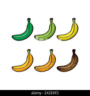 Set di banane vettoriali, colori diversi. Fasi di maturazione delle banane, da quelle non mature a quelle troppo mature. Frutta per tutti i gusti Illustrazione Vettoriale