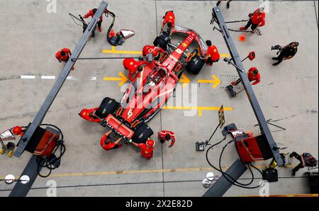 Shanghai, Cina. 19 aprile 2024. #55 Carlos Sainz (ESP, Scuderia Ferrari), Gran Premio di F1 della Cina al Shanghai International Circuit il 19 aprile 2024 a Shanghai, Cina. (Foto di HOCH ZWEI) credito: dpa/Alamy Live News Foto Stock