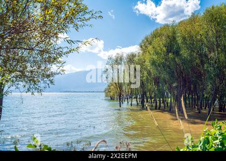 Paesaggio del lago di Erhai, situato a Dali, Yunnan, Cina. Foto Stock