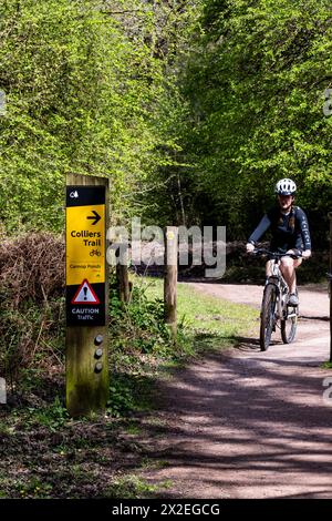 Pista ciclabile Colliers. Cannop Ponds Spring, Forest of Dean, Gloucestershire. Foto Stock