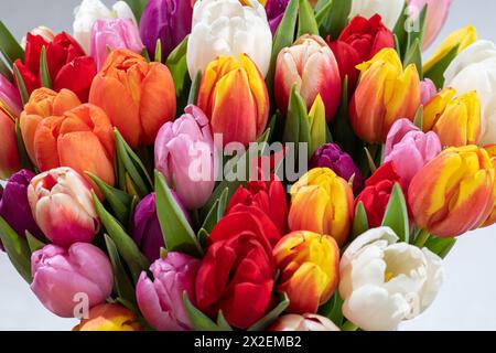 Botanica, ATTENZIONE! PER L'USO DI GREETINGCARD/CARTOLINA NEI PAESI DI LINGUA TEDESCA POTREBBERO ESSERE APPLICATE ALCUNE RESTRIZIONI Foto Stock