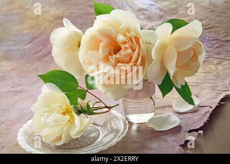 BOTANY, ADDITIONAL-RIGHTS-CLEARANCE-INFO-NOT-AVAILABLE Foto Stock
