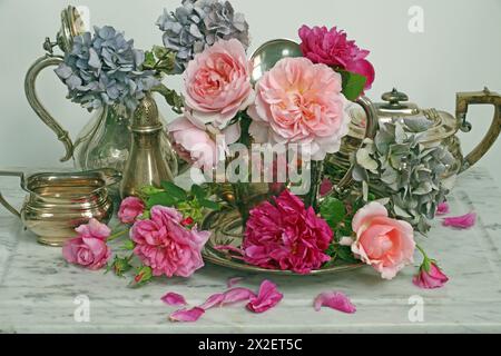 BOTANY, ADDITIONAL-RIGHTS-CLEARANCE-INFO-NOT-AVAILABLE Foto Stock