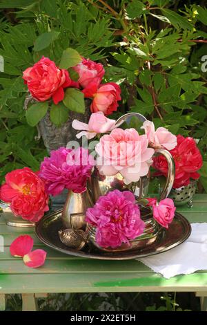Botanica, natura morta del rosa, DIRITTI AGGIUNTIVI-CLEARANCE-INFO-NON-DISPONIBILE Foto Stock