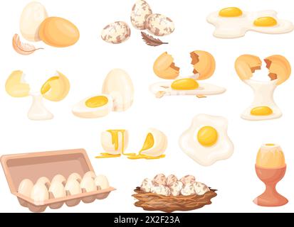 Uova sode crude. Confezione di cartoni animati di pollo o uova di quaglia, farina di proteine ecologiche tuorlo fresco fritto a metà in guscio d'uovo marrone, vettore di cibo naturale del pollame illustrazione della colazione al tuorlo proteico Illustrazione Vettoriale