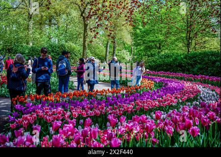 Lisse, Paesi Bassi. 21 aprile 2024. Le persone si vedono scattare foto di fronte a un design fatto di tulipani rosa. Keukenhof è anche conosciuto come il Giardino d'Europa, uno dei più grandi giardini di fiori del mondo, ed è situato a Lisse. Nei Paesi Bassi. Durante le quasi otto settimane è aperto, oltre 1,4 milioni di persone provenienti da tutto il mondo visiteranno la mostra. Oltre ai milioni di tulipani, narcisi e giacinti nel parco, gli spettacoli di fiori all'interno dei padiglioni sono diventati più grandi e più belli. (Foto di Ana Fernandez/SOPA Images/Sipa USA) credito: SIPA USA/Alamy Live News Foto Stock