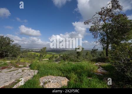 Colline pedemontane della Giudea, paesaggio di Israele Foto Stock