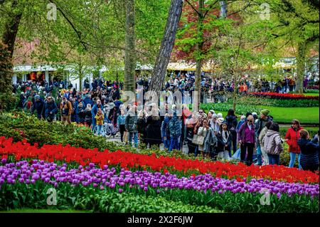 Lisse, Paesi Bassi. 21 aprile 2024. Migliaia di persone si vedono visitare il giardino. Keukenhof è anche conosciuto come il Giardino d'Europa, uno dei più grandi giardini di fiori del mondo, ed è situato a Lisse. Nei Paesi Bassi. Durante le quasi otto settimane è aperto, oltre 1,4 milioni di persone provenienti da tutto il mondo visiteranno la mostra. Oltre ai milioni di tulipani, narcisi e giacinti nel parco, gli spettacoli di fiori all'interno dei padiglioni sono diventati più grandi e più belli. Credito: SOPA Images Limited/Alamy Live News Foto Stock