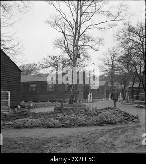 WAKEFIELD TRAINING PRISON AND CAMP: VITA QUOTIDIANA IN Una PRIGIONE BRITANNICA, WAKEFIELD, YORKSHIRE, INGHILTERRA, 1944 - Una vista generale del campo annesso alla prigione di addestramento di Wakefield, che mostra le capanne di legno in cui vivono i detenuti. Sono circondati da alberi e piccoli giardini che i prigionieri hanno creato nel loro tempo libero Foto Stock