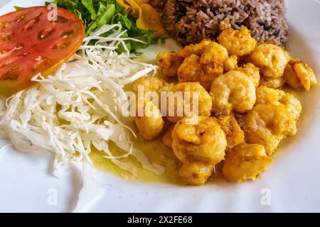 gamberetti cotti, riso congri, cucina cubana Foto Stock