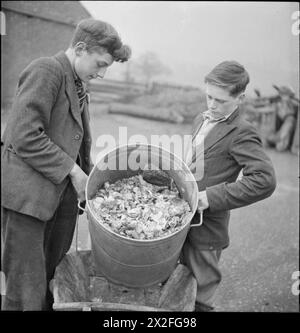 I VILLAGE GARDENS DANNO DA MANGIARE AGLI SCOLARI: PRODUZIONE ALIMENTARE A KNIGHTON-ON-TEME, WORCESTERSHIRE, INGHILTERRA, Regno Unito, 1943 - Thomas Guy (a sinistra) e John Bourne raccolgono sbucciature di verdure e altri frammenti lasciati dal pasto all'ora di pranzo presso la scuola del villaggio di Knighton-on-Teme. Tutte le verdure mangiate presso la scuola sono state fornite dalla locale Village Products Association. Raccogliendo gli scarti per lo swill di maiale, nessuna delle verdure viene sprecata Foto Stock