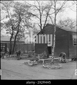 WAKEFIELD TRAINING PRISON AND CAMP: LA VITA QUOTIDIANA IN Una PRIGIONE BRITANNICA, WAKEFIELD, YORKSHIRE, INGHILTERRA, 1944 - nel tempo libero, i detenuti della Wakefield Training Prison curano i giardini che hanno creato fuori dalle loro capanne Foto Stock