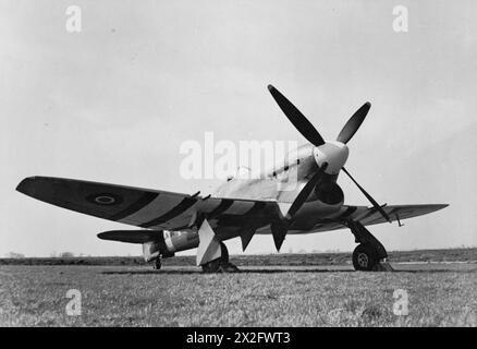 Hawker Tempest V JN766/SA-N del No. 486 Squadron Royal New Zealand Air Force a Castle Camps l'8 aprile 1944. Il Tempest V, in servizio con il No. 150 Wing, era più veloce di altri caccia alleati o tedeschi con motore a pistoni al di sotto dei 000 piedi. Foto Stock