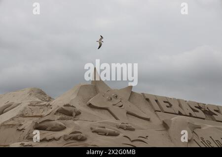 (240422) -- TEXAS, 22 aprile 2024 (Xinhua) -- Un gabbiano vola sopra una grande scultura di sabbia durante il Texas SandFest del 2024 tenutosi a Port Aransas, Texas, Stati Uniti, 21 aprile 2024. Il Texas SandFest di tre giorni si è concluso domenica, con migliaia di spettatori da tutto il mondo. (Xinhua/Xu Jianmei) Foto Stock