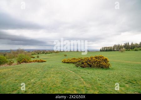 Il vecchio ippodromo di Richmond, North Yorkshire Foto Stock