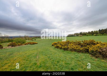 Il vecchio ippodromo di Richmond, North Yorkshire Foto Stock