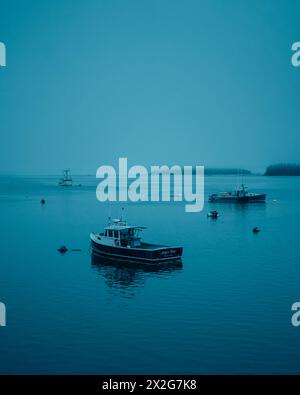 Vista delle barche in una notte nebbiosa a Beals Island, Maine Foto Stock