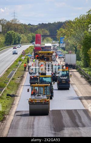 Wesel, Renania settentrionale-Vestfalia, Germania - costruzione di strade, asfaltatrici e rulli stradali posa nuovo asfalto sull'autostrada A3, ristrutturazione durata mesi Foto Stock