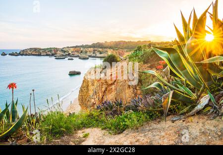 Praia do Alemão si affaccia al tramonto dalla costa frastagliata e fiorita vicino a Portimão nell'Algarve, in Portogallo Foto Stock