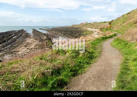 Il sentiero costiero di Fife tra San Monans e Pittenweem Foto Stock