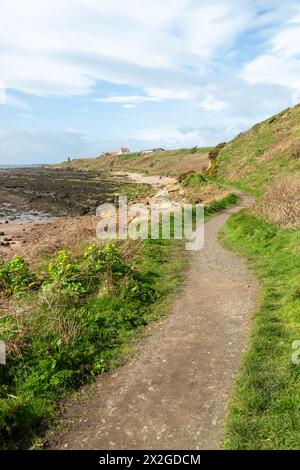 Il sentiero costiero di Fife tra San Monans e Pittenweem Foto Stock