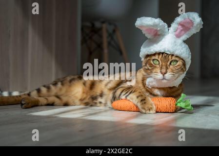 Gatto del Bengala con un giocattolo di carote e un cerchietto con le orecchie sulla testa. Cat - coniglietto pasquale. Foto Stock