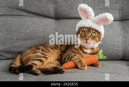 Gatto del Bengala con un giocattolo di carote e un cerchietto con le orecchie sulla testa. Cat - coniglietto pasquale. Foto Stock