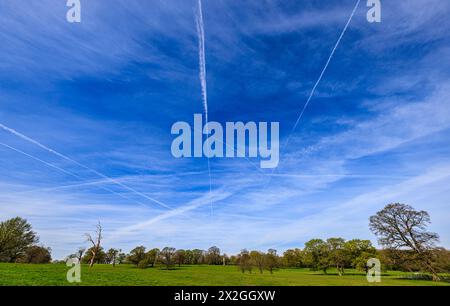 Attraversa sentieri di vapore bianco (contrails) contro un cielo blu, il Surrey in primavera, dagli aerei che volano da e per l'aeroporto di Londra Heathrow Foto Stock
