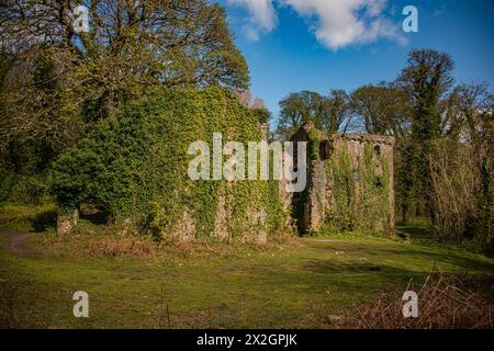 Lo storico castello di Candleston, Merthyr Mawr vicino a Bridgend, Galles del Sud. Foto Stock
