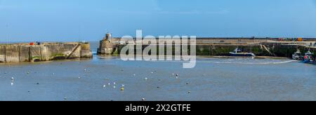 Una vista panoramica sul porto con la bassa marea a Saundersfoot, Galles, in una luminosa giornata primaverile Foto Stock