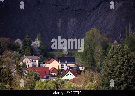 Hergisdorf, Germania. 18 aprile 2024. Un cumulo di scorie dei tempi dell'estrazione del rame domina il paesaggio accanto alla piccola città. Tra il 2020 e il 2040, si prevede che la popolazione di Mansfeld-Südharz diminuirà del 21,1%. Previsioni simili sono fatte per gli altri stati della Germania orientale. Allo stesso tempo, la percentuale di anziani è in aumento. I distretti stanno facendo del loro meglio per combattere questa situazione. Crediti: Jan Woitas/dpa/Alamy Live News Foto Stock