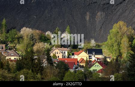 Hergisdorf, Germania. 18 aprile 2024. Un cumulo di scorie dei tempi dell'estrazione del rame domina il paesaggio accanto alla piccola città. Tra il 2020 e il 2040, si prevede che la popolazione di Mansfeld-Südharz diminuirà del 21,1%. Previsioni simili sono fatte per gli altri stati della Germania orientale. Allo stesso tempo, la percentuale di anziani è in aumento. I distretti stanno facendo del loro meglio per combattere questa situazione. Crediti: Jan Woitas/dpa/Alamy Live News Foto Stock