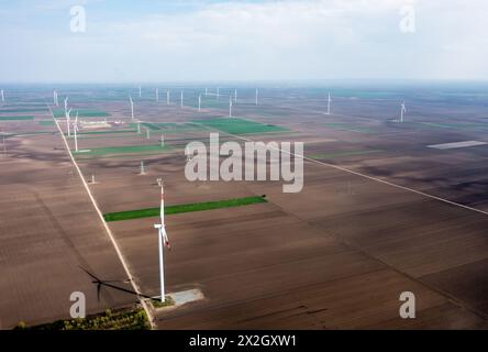 Le file su file di torreggianti turbine eoliche dominano il paesaggio, raccogliendo energia durante le pause del giorno Foto Stock