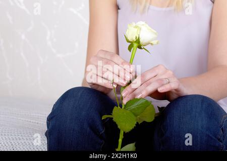 Le mani di una ragazza tengono la rosa bianca. Foto Stock