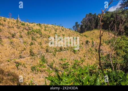 Deforestazione nei pressi della città di Luang Namtha, Laos Foto Stock