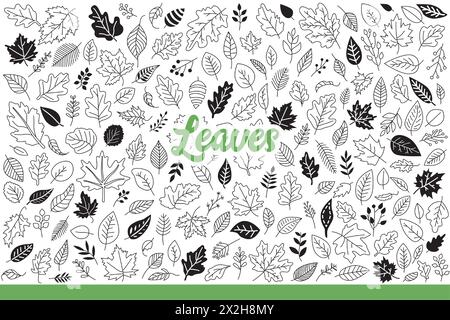 Foglie di alberi forestali di vario tipo caduti nella stagione autunnale. Foglie di cespugli forestali e piante simboleggiano la purezza dell'ambiente a causa dell'abbondanza di vegetazione. Scarabocchio disegnato a mano Illustrazione Vettoriale