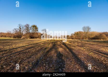 Prato primaverile con foresta intorno e cielo limpido sopra tra Polanka e Kosatka a CHKO Poodri nella repubblica Ceca Foto Stock