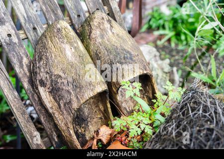 Vecchi zoccoli in legno, Zaanse Schans, comune di Zaanstad, percorso europeo del patrimonio industriale, Paesi Bassi Foto Stock