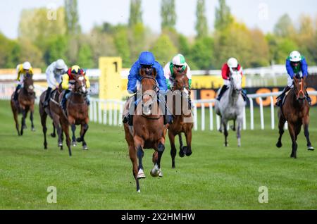 Hidden Law e William Buick vincono le Darley Confined Maiden Stakes per l'allenatore Charlie Appleby e i proprietari Godolphin. Crediti JTW equine Images / Alamy Foto Stock