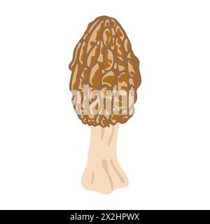 Funghi Morel. Stile piatto alla moda disegnato a mano, famiglia di funghi commestibili, morel spugnoso, cibo biologico sano, cibo vegetariano, funghi freschi isolati su sfondo bianco. Illustrazione vettoriale Illustrazione Vettoriale