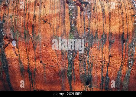 Una parete resistente agli agenti atmosferici sfoggia una ricca texture di ruggine e sfumature marroni, creando un accattivante motivo astratto. Foto Stock