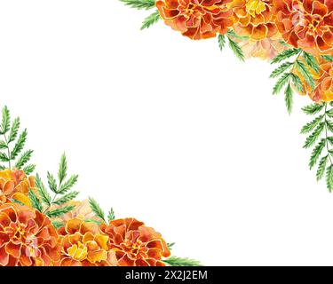 Marigolds, cornice per testo. Illustrazione ad acquerello disegnata a mano di fiori isolati su sfondo bianco. Per biglietti di compleanno, inviti, striscioni, etichette Foto Stock