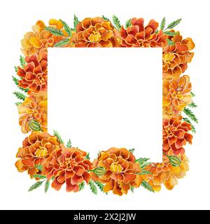 Marigolds, cornice quadrata per testo. Illustrazione ad acquerello disegnata a mano di fiori isolati su sfondo bianco. Per biglietti di compleanno, inviti, banner Foto Stock