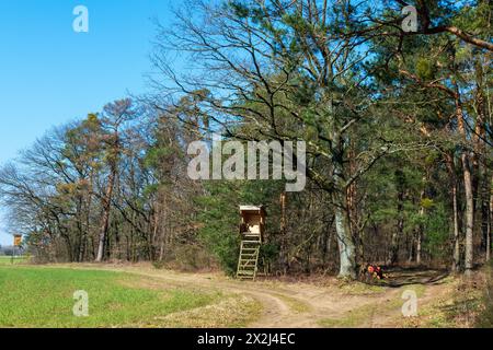 Hochsitz aus Holz im Wald am Feldrand von Hügelsheim Foto Stock