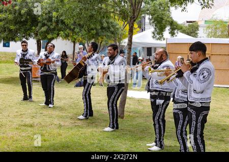 Cultura messicana; Una band Mariachi - un gruppo musicale tradizionale messicano che suona musica folk messicana; Torreon, Messico Foto Stock