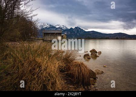 Kochelsee, lungolago, Baviera, montagne, alpi, lago di montagna, tronco di alberi Foto Stock